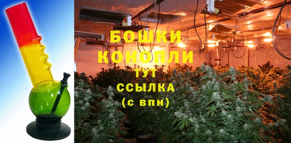 хмурый Аркадак