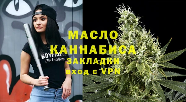 хмурый Аркадак