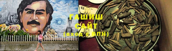 хмурый Аркадак