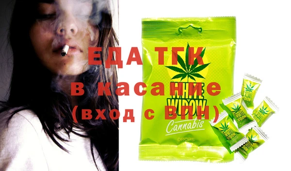 хмурый Аркадак