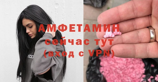 хмурый Аркадак