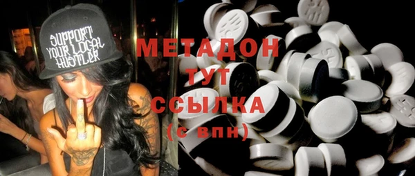 хмурый Аркадак