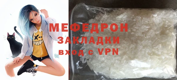 хмурый Аркадак