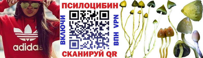 Псилоцибиновые грибы Cubensis  Пустошка 